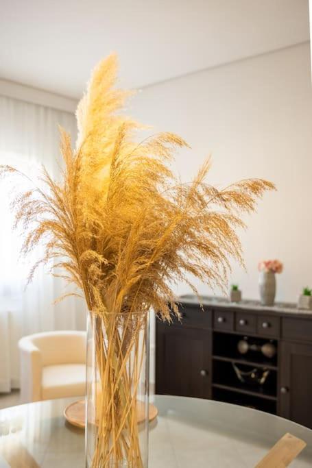 Alexandros Apartment