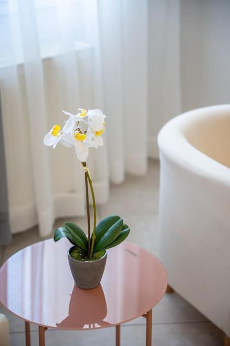 Apartment Alexandros Trikala (Thessaly)